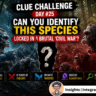 Clue Challenge Day #25: Can You Identify This Species Locked in a Brutal 'Civil War'?