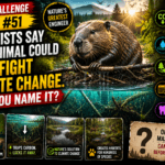 Clue Challenge Day #51: Scientists Say This Animal Could Help Fight Climate Change. Can You Name It?