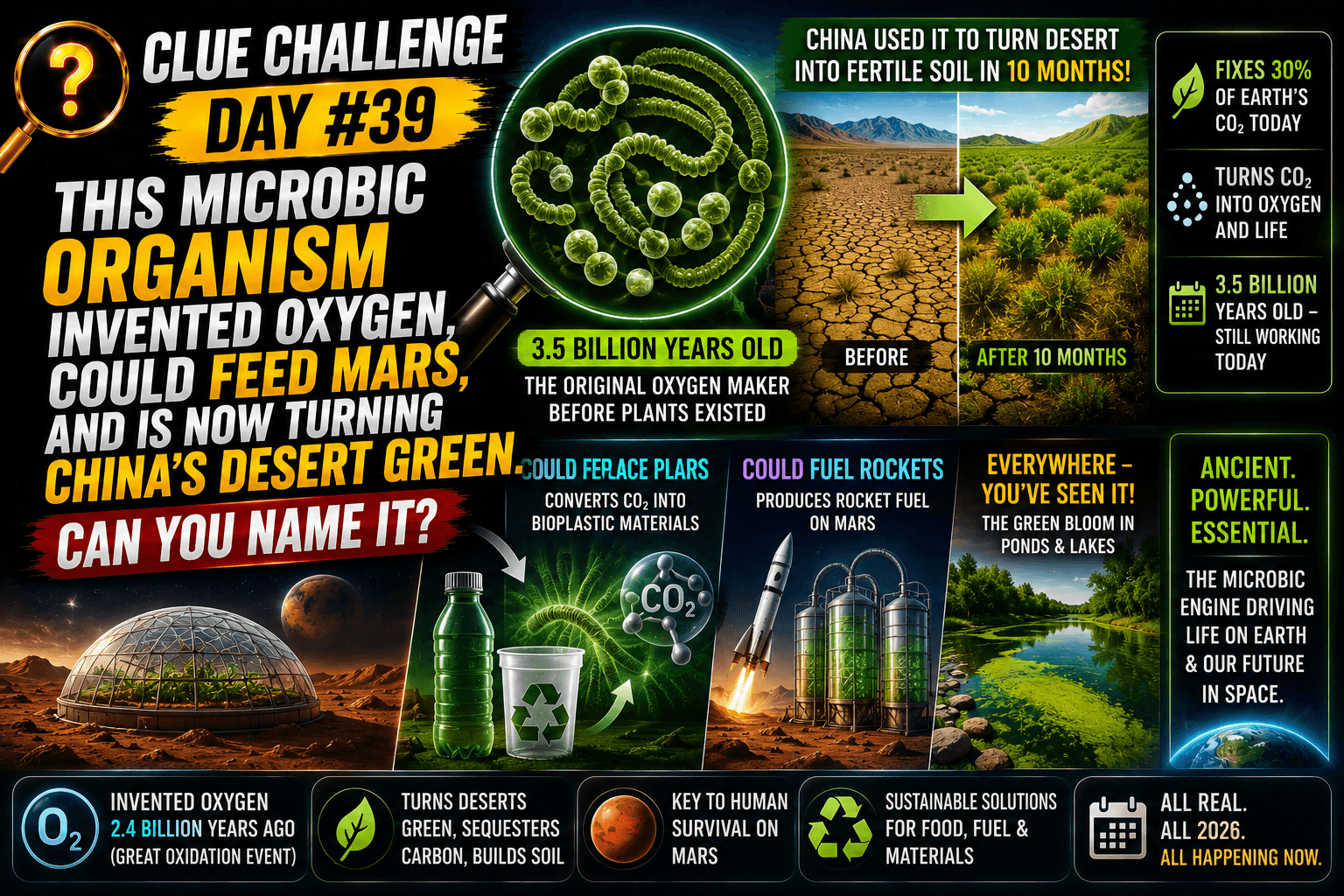Clue Challenge Day #39: Microscopic Organism Invented Oxygen, Could Feed Mars, and Is Now Turning China’s Desert Green