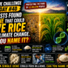 Clue Challenge Day #40: Scientists Found the Gene That Could Save Rice From Climate Change. Can You Name It?