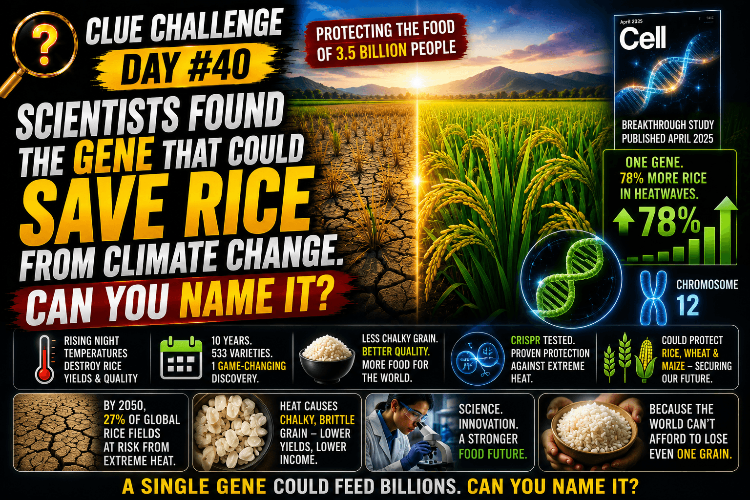 Clue Challenge Day #40: Scientists Found the Gene That Could Save Rice From Climate Change