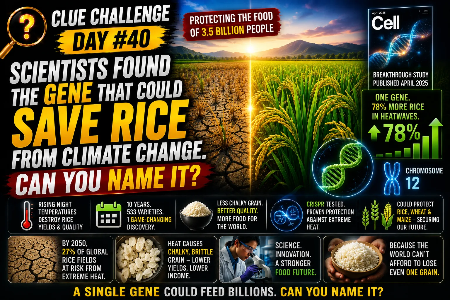 Clue Challenge Day #40: Scientists Found the Gene That Could Save Rice From Climate Change. Can You Name It?