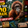 Clue Challenge Day #47: Fewer Than 800 Remain. Can You Name the World's Rarest Great Ape?