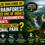 India Clue Challenge #4: This Rainforest Once Sparked One of India's Biggest Environmental Movements. Can You Guess It?