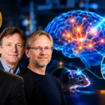Nobel Medicine 2026: How Three Scientists Unlocked the Brain With Light